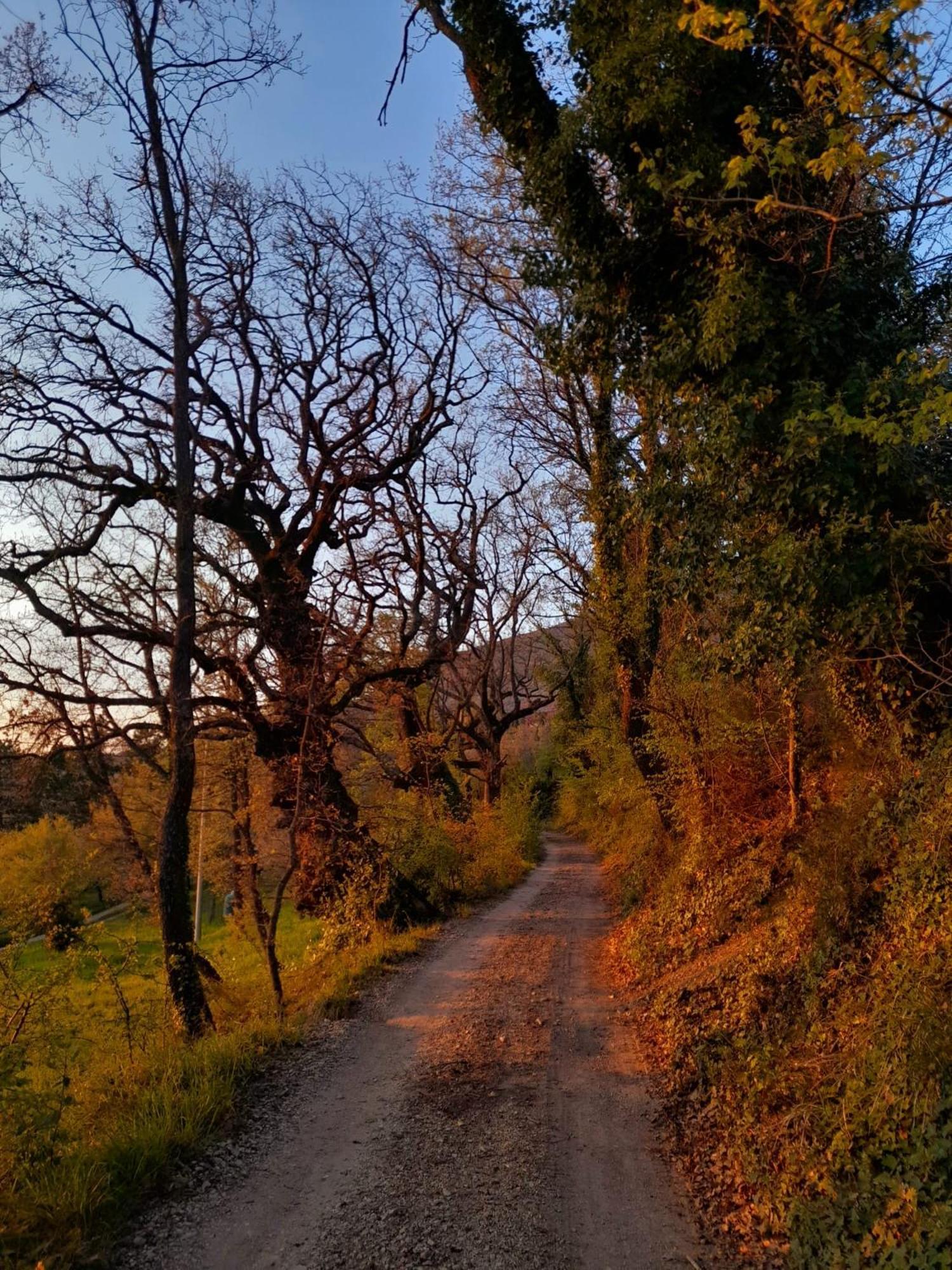 B&B Il Sentiero Di Assisi Exterior photo