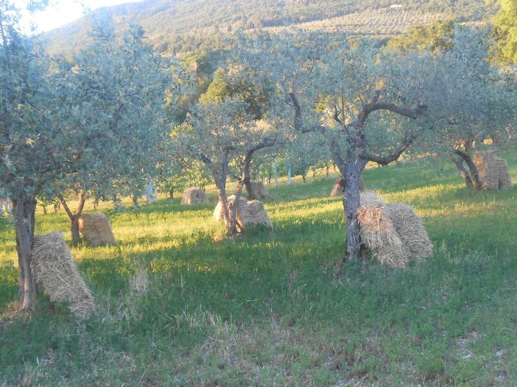 B&B Il Sentiero Di Assisi Exterior photo