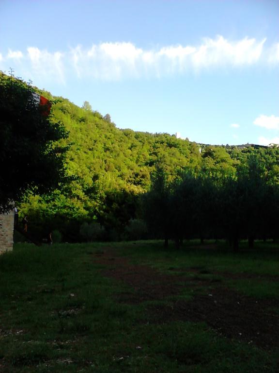 B&B Il Sentiero Di Assisi Exterior photo