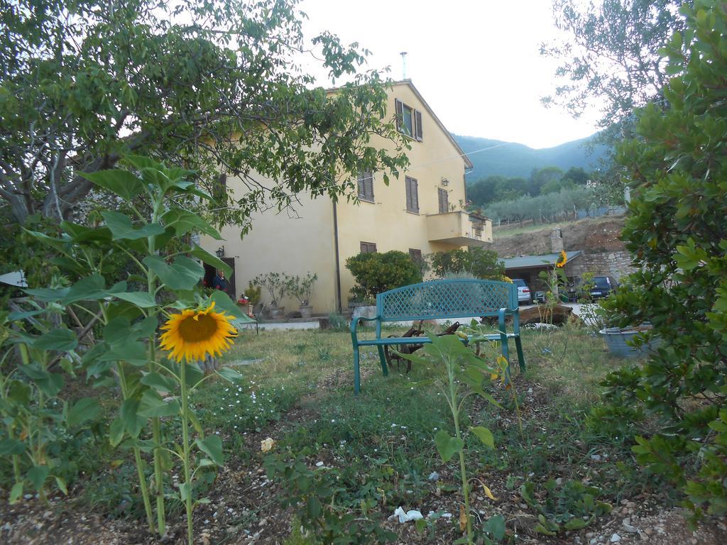 B&B Il Sentiero Di Assisi Exterior photo